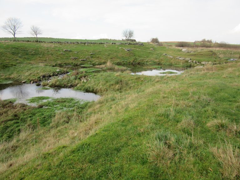 rensepark rogaland.JPG