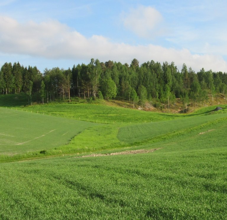 Copy of Grasdekt vannvei må zoomes.JPG