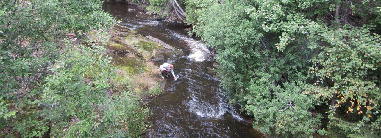 Strykparti_Foto_EvaSkarbøvik