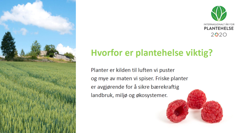 PPT-Skjermbilde.PNG