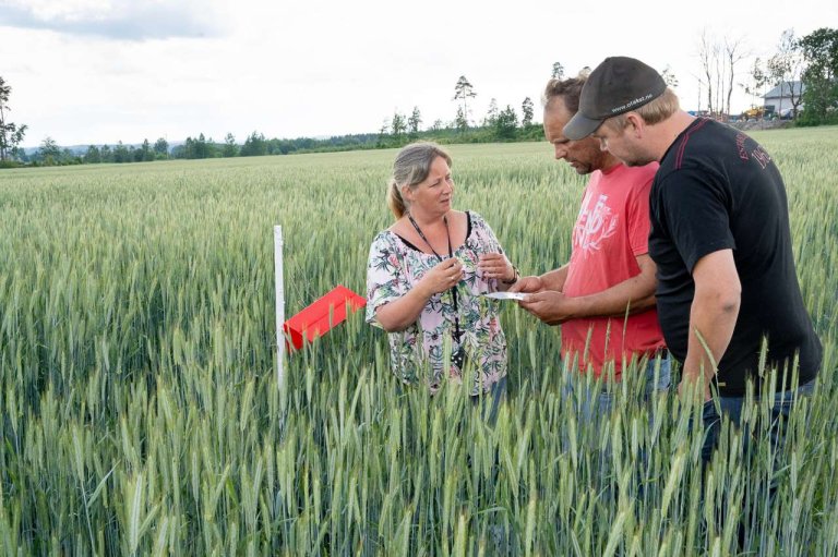 Bilde 1_Erling Fløistad.jpg