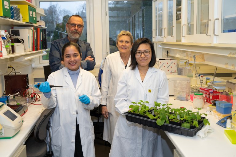 Virusgruppa NIBIO 2.jpg