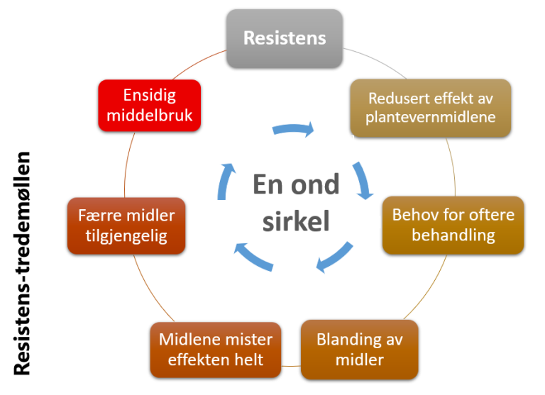 Figur-Resistenstredemøllen.png