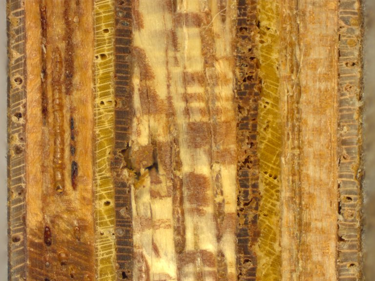 A1 plywood.jpg