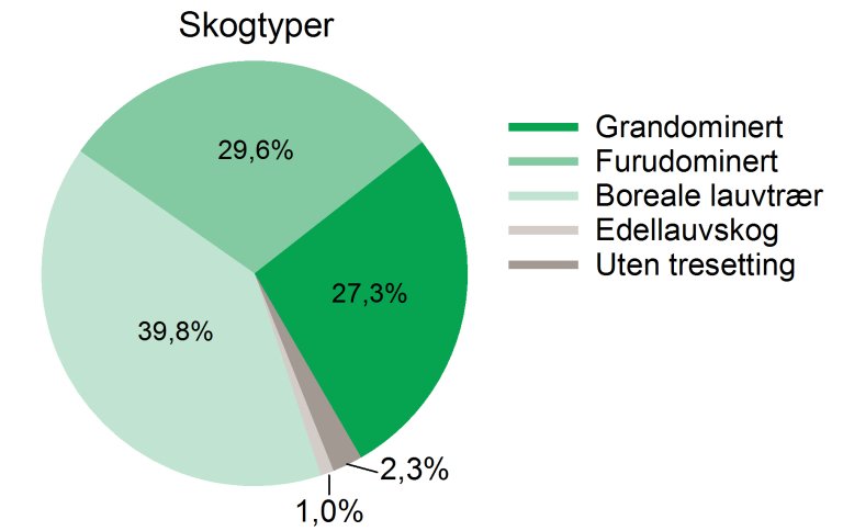 Areal_Skogtyper_1418.JPG