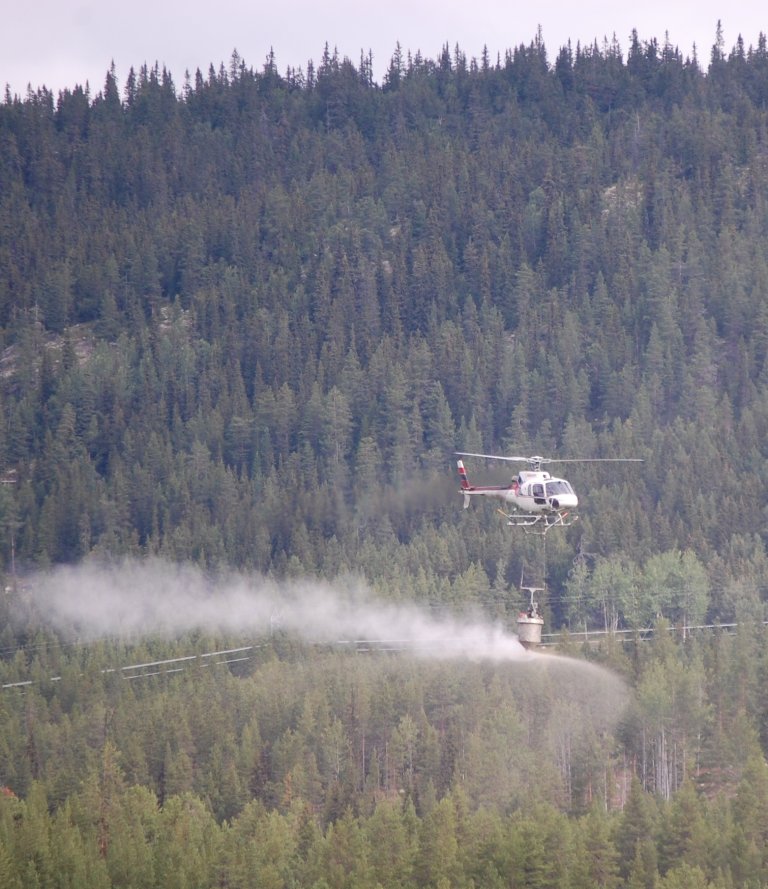 Gjødsling_b 009 A Veddegjerde_Viken.jpg