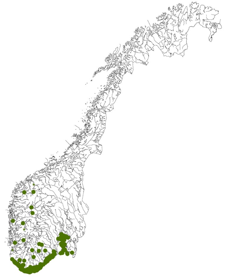 Kart_norsk_asal_norvegica.jpg