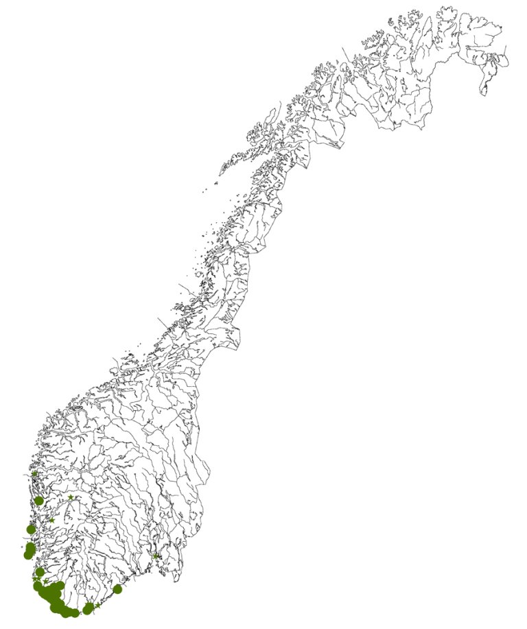 Kart_soerlandsasal_subsimilis.jpg