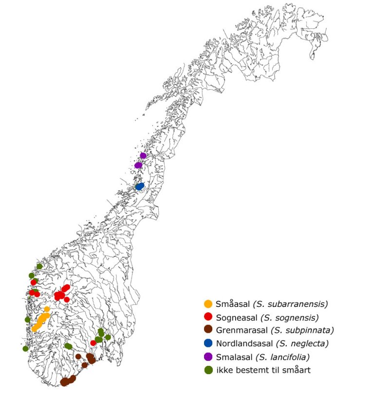 Kart_smaasal_gruppa-1.jpg