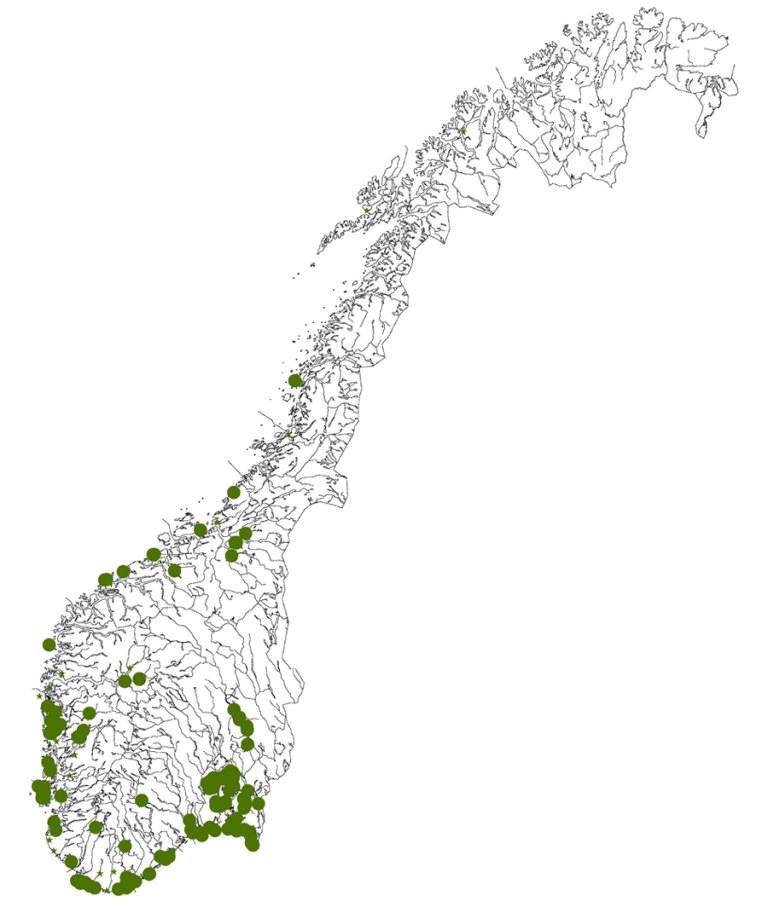 Kart_Svensk_asal_intermedia.jpg