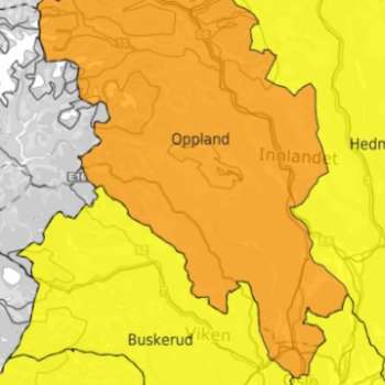 Fylkesnivå-barkbiller