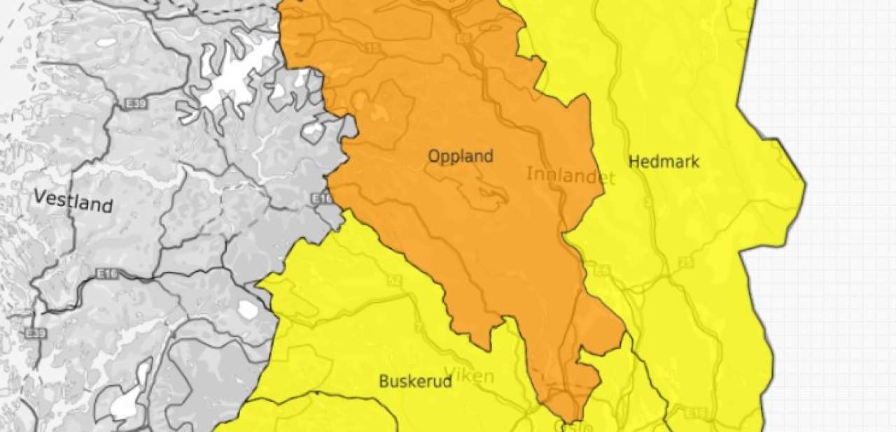 Fylkesnivå-barkbiller