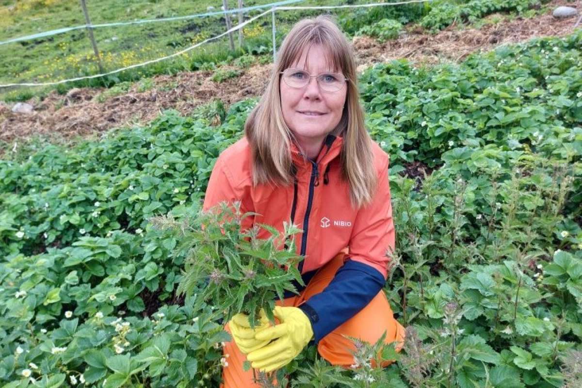 Eva Narten Høberg_NIBIO